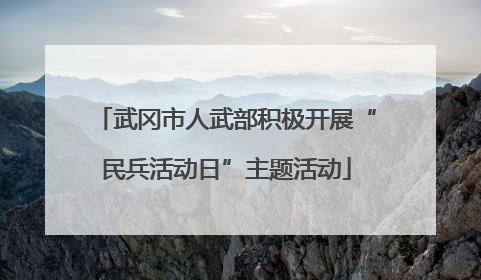 武冈市人武部积极开展“民兵活动日”主题活动