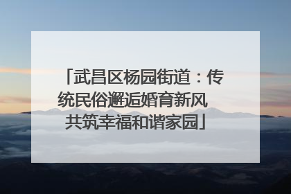 武昌区杨园街道：传统民俗邂逅婚育新风 共筑幸福和谐家园