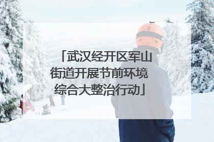 武汉经开区军山街道开展节前环境综合大整治行动