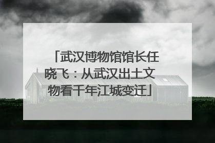 武汉博物馆馆长任晓飞：从武汉出土文物看千年江城变迁