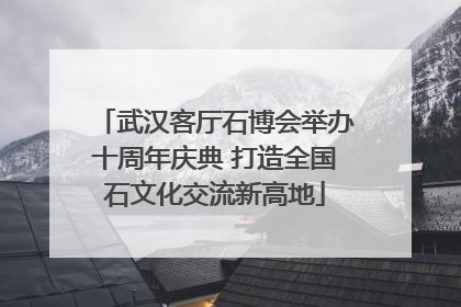 武汉客厅石博会举办十周年庆典 打造全国石文化交流新高地