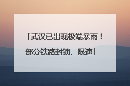 武汉已出现极端暴雨！部分铁路封锁、限速