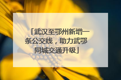 武汉至鄂州新增一条公交线，助力武鄂同城交通升级