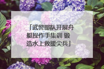 武警部队开展舟艇操作手集训 锻造水上救援尖兵