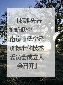 标准先行 护航低空——南京市低空经济标准化技术委员会成立大会召开