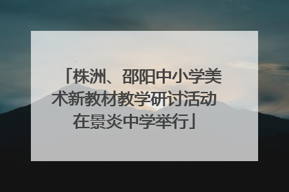 株洲、邵阳中小学美术新教材教学研讨活动在景炎中学举行