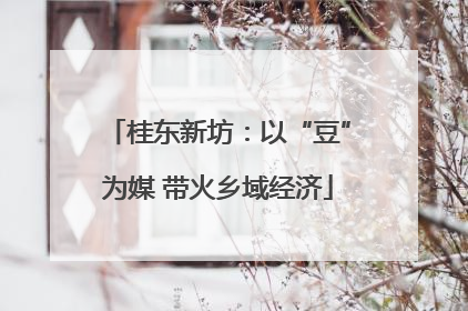 桂东新坊：以“豆”为媒 带火乡域经济