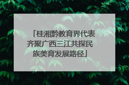 桂湘黔教育界代表齐聚广西三江共探民族美育发展路径