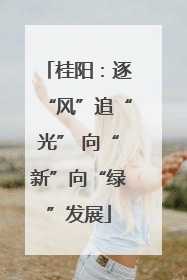 桂阳：逐“风”追“光” 向“新”向“绿”发展