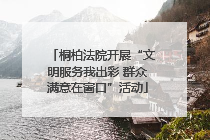 桐柏法院开展“文明服务我出彩 群众满意在窗口”活动