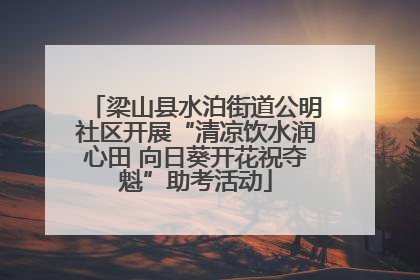 梁山县水泊街道公明社区开展“清凉饮水润心田 向日葵开花祝夺魁”助考活动