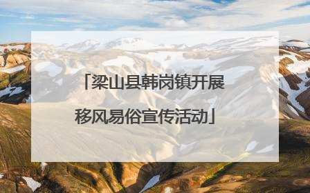 梁山县韩岗镇开展移风易俗宣传活动