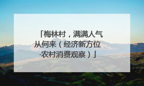 梅林村，满满人气从何来（经济新方位·农村消费观察）