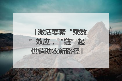 激活要素“乘数”效应，“链”起供销助农新路径