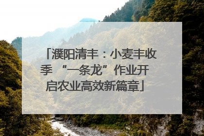 濮阳清丰：小麦丰收季 “一条龙”作业开启农业高效新篇章