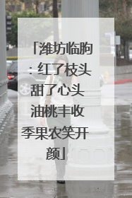 潍坊临朐：红了枝头 甜了心头 油桃丰收季果农笑开颜