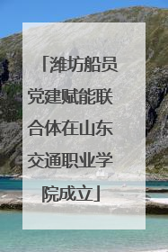 潍坊船员党建赋能联合体在山东交通职业学院成立