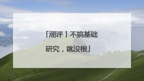 潮评丨不搞基础研究，就没根