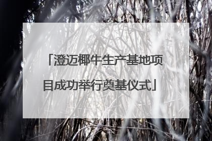 澄迈椰牛生产基地项目成功举行奠基仪式
