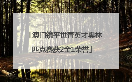澳门镜平世青英才奥林匹克赛获2金1荣誉