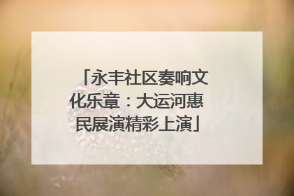 永丰社区奏响文化乐章：大运河惠民展演精彩上演