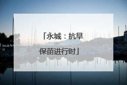 永城：抗旱保苗进行时