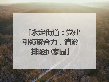 永定街道：党建引领聚合力，清淤排险护家园