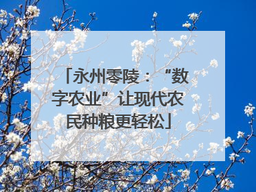 永州零陵：“数字农业”让现代农民种粮更轻松