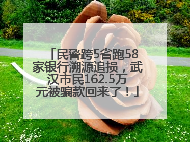 民警跨5省跑58家银行溯源追损，武汉市民162.5万元被骗款回来了！