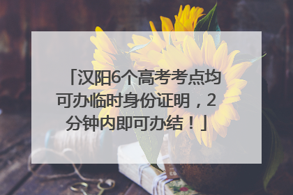 汉阳6个高考考点均可办临时身份证明，2分钟内即可办结！