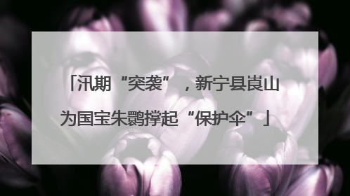 汛期“突袭”，新宁县崀山为国宝朱鹮撑起“保护伞”