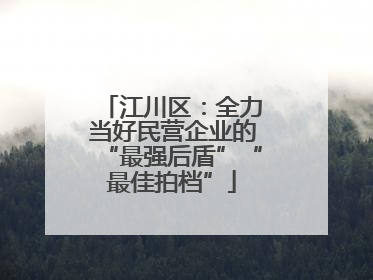 江川区：全力当好民营企业的“最强后盾”“最佳拍档”