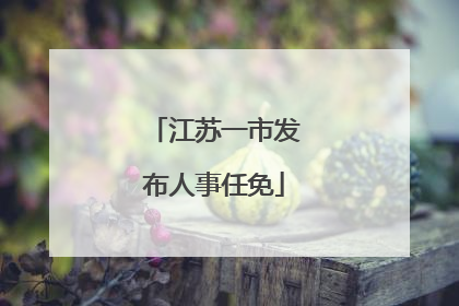 江苏一市发布人事任免