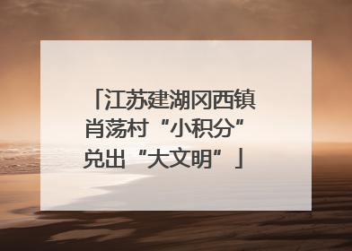 江苏建湖冈西镇肖荡村“小积分”兑出“大文明”