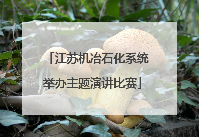 江苏机冶石化系统举办主题演讲比赛