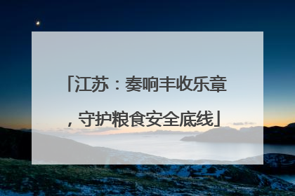 江苏：奏响丰收乐章，守护粮食安全底线