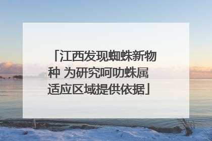 江西发现蜘蛛新物种 为研究呵叻蛛属适应区域提供依据