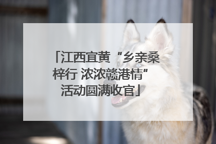 江西宜黄“乡亲桑梓行 浓浓赣港情”活动圆满收官