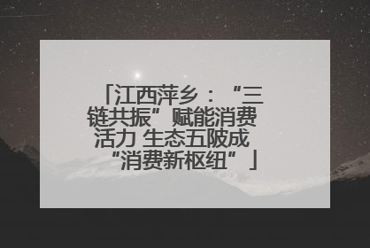 江西萍乡：“三链共振”赋能消费活力 生态五陂成“消费新枢纽”
