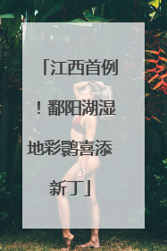 江西首例！鄱阳湖湿地彩鹮喜添新丁