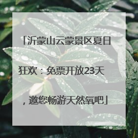 沂蒙山云蒙景区夏日狂欢：免票开放23天，邀您畅游天然氧吧