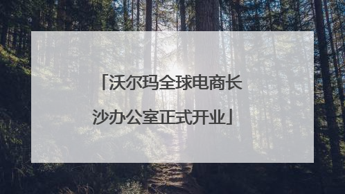 沃尔玛全球电商长沙办公室正式开业