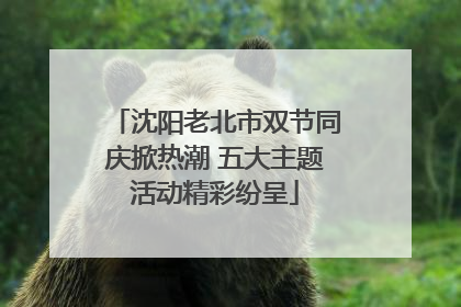 沈阳老北市双节同庆掀热潮 五大主题活动精彩纷呈