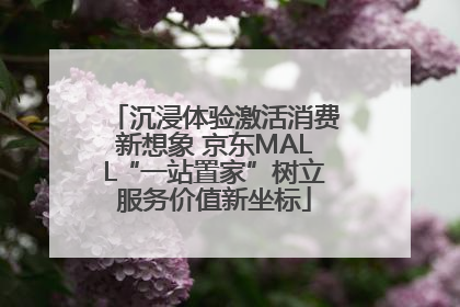 沉浸体验激活消费新想象 京东MALL“一站置家”树立服务价值新坐标