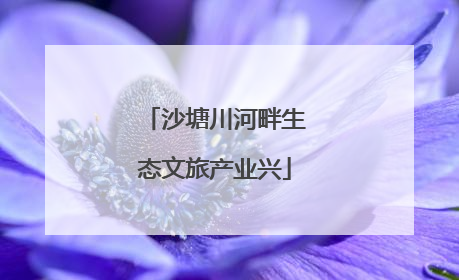 沙塘川河畔生态文旅产业兴