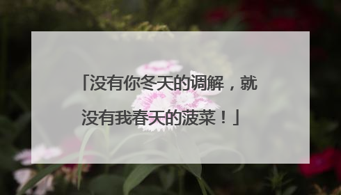 没有你冬天的调解，就没有我春天的菠菜！