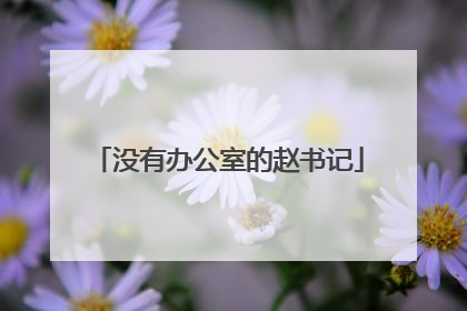 没有办公室的赵书记