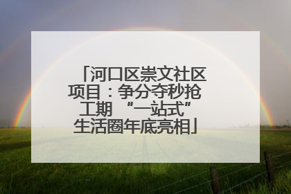 河口区崇文社区项目：争分夺秒抢工期 “一站式”生活圈年底亮相