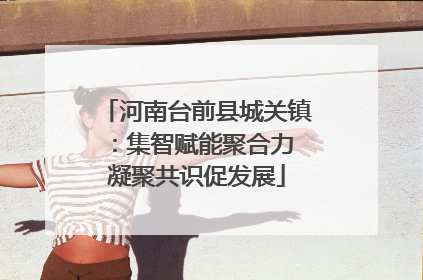 河南台前县城关镇：集智赋能聚合力 凝聚共识促发展
