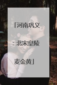 河南巩义：北宋皇陵麦金黄